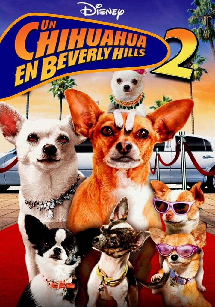 Un chihuahua en Beverly Hills 2 película Ver online